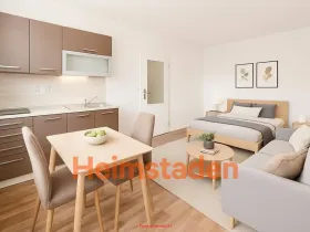 Pronájem bytu 1+kk, Horní Suchá, Dr. Glazera, 25 m2