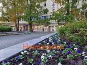 Pronájem obchodního prostoru, Havířov - Město, nám. Republiky, 66 m2