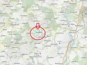 Prodej podílu lesa, Neveklov, 7656 m2