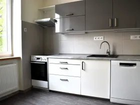 Pronájem bytu 2+1, Plzeň - Východní Předměstí, Krejčíkova, 62 m2