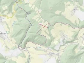 Dražba lesa, Bouzov, 2554 m2