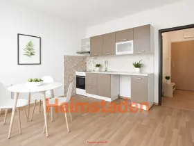 Pronájem bytu 1+kk, Karviná - Hranice, Slovenská, 35 m2