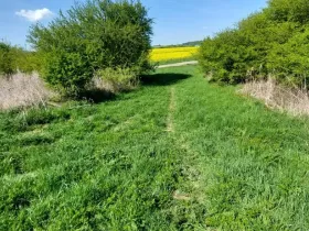 Prodej pozemku, Kyšice, Pražská, 308 m2