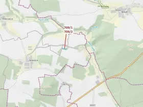 Dražba lesa, Osek, 1823 m2