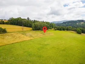 Prodej louky, Víchová nad Jizerou, 991 m2