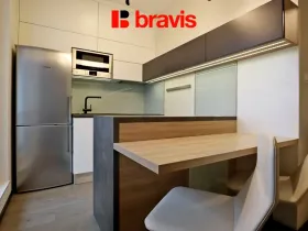 Pronájem bytu 1+kk, Brno - Veveří, Lidická, 42 m2