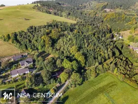 Prodej lesa, Šimonovice, 30343 m2