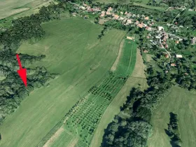 Prodej lesa, Stružnice, 3736 m2