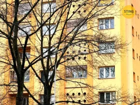 Prodej bytu 1+kk, Frýdek-Místek, Bezručova, 22 m2