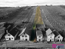 Prodej sadu/vinice, Bořetice, 2567 m2