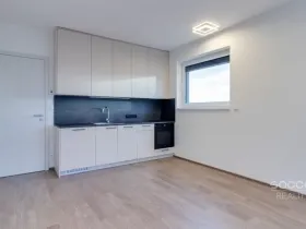 Pronájem bytu 1+kk, Praha - Chodov, Šternovská, 32 m2