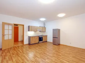Pronájem bytu 1+kk, Praha - Kamýk, Mariánská, 31 m2