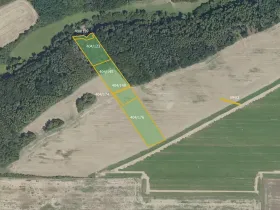 Prodej lesa, Vyšehořovice, 19741 m2