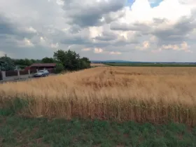 Prodej pozemku pro bydlení, Tršice, 600 m2