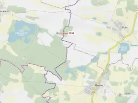 Dražba lesa, Hradiště, 1083 m2