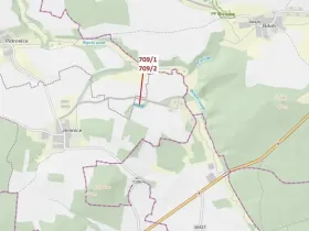 Dražba lesa, Osek, 1823 m2