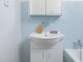 Pronájem bytu 1+1, Ostrava, Newtonova, 41 m2