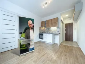 Pronájem bytu 1+1, Chomutov, Kostnická, 36 m2