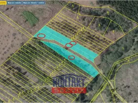 Prodej lesa, Dlouhá Brtnice, 5000 m2