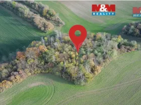 Prodej lesa, Kočí, 5803 m2