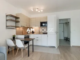 Pronájem bytu 1+kk, Praha - Žižkov, Olgy Havlové, 38 m2