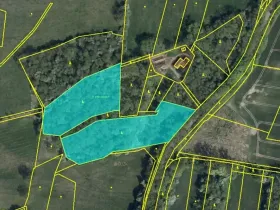 Prodej lesa, Jaroměř, 19276 m2