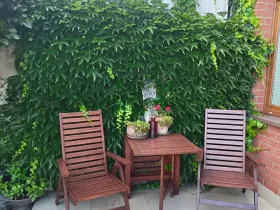 Pronájem bytu 1+kk, Praha - Velká Chuchle, Hvězdářská, 35 m2