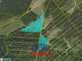 Prodej lesa, Jevíčko, 70821 m2