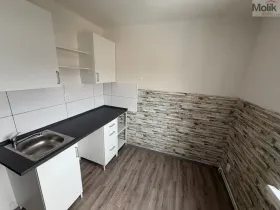 Pronájem bytu 1+1, Most, Lesní, 30 m2