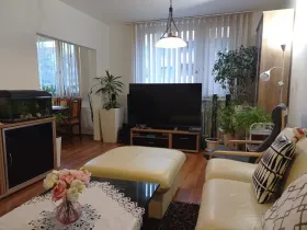 Pronájem bytu 4+kk, Mikulov, St. Živného, 91 m2