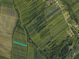 Prodej louky, Javorník, 4658 m2