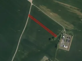 Prodej pole, Luže, 7556 m2