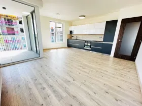 Pronájem bytu 2+kk, Ostrava - Moravská Ostrava, F. X. Riepla, 60 m2