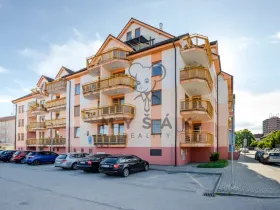 Prodej bytu 2+kk, České Budějovice - České Budějovice 3, U Trojice, 54 m2