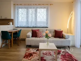 Pronájem bytu 1+kk, Písek, Pražská, 32 m2