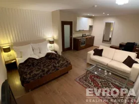 Pronájem bytu 1+kk, Plzeň - Jižní Předměstí, U Borského parku, 37 m2