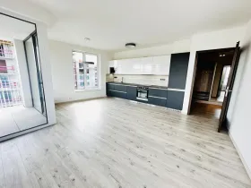 Pronájem bytu 2+kk, Ostrava - Moravská Ostrava, F. X. Riepla, 60 m2