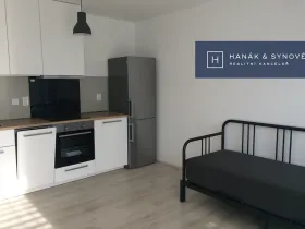 Pronájem bytu 1+kk, Brno, Rumiště, 25 m2