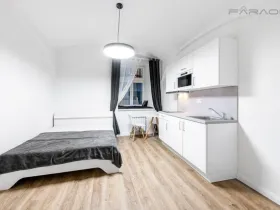 Pronájem bytu 1+kk, Praha - Nové Město, Petrská, 26 m2