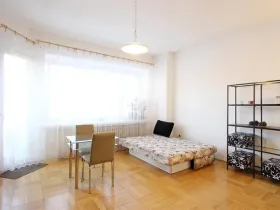 Pronájem bytu 1+kk, Brno - Veveří, Dřevařská, 34 m2