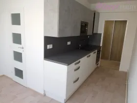 Pronájem bytu 2+1, Uherské Hradiště, Louky, 53 m2