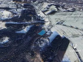 Prodej lesa, Česká Třebová, 3842 m2