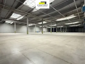 Pronájem výrobních prostor, Bor - Nová Hospoda, 9786 m2