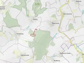 Dražba lesa, Hradčany-Kobeřice, 1895 m2