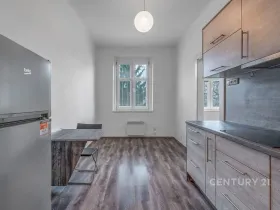 Pronájem bytu 1+1, Praha - Braník, Nad malým mýtem, 39 m2