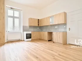 Pronájem bytu 3+1, Brno - Staré Brno, Nové sady, 130 m2