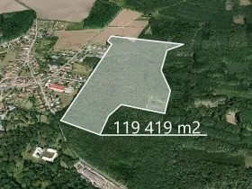 Prodej podílu lesa, Býchory, 11195 m2