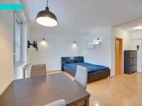 Pronájem bytu 1+kk, Olomouc - Povel, Slavonínská, 38 m2