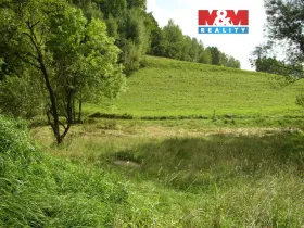 Prodej louky, Janův Důl, 2749 m2