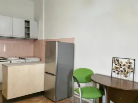 Pronájem bytu 1+kk, Praha - Nusle, Družstevní, 29 m2